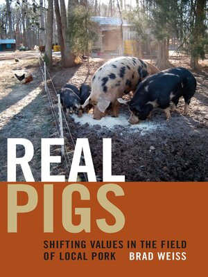 cover image of Real Pigs